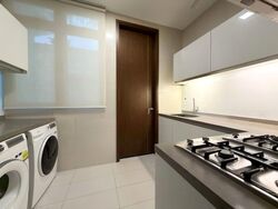 RESIDENCES AT EMERALD HILL (D9), Terrace #595765171